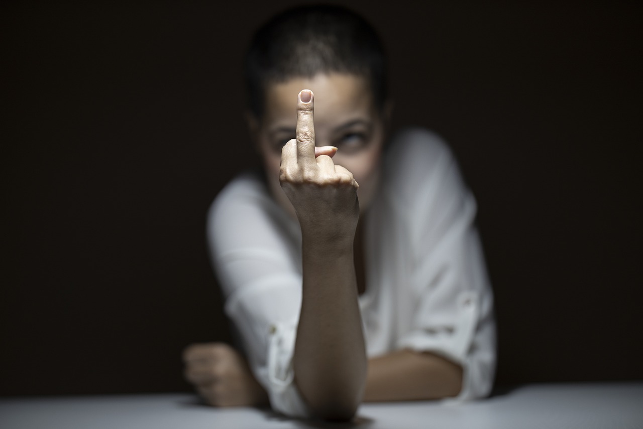 profane.net